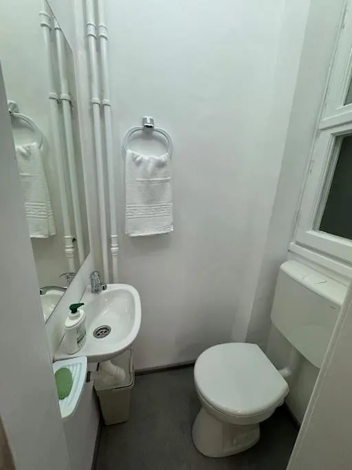 Airy & Beautiful Downtown Apartment 부쿠레슈티